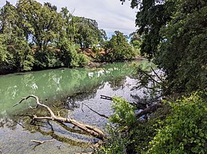 Elk Slough at Courtland Road