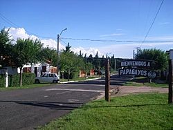 Entrada a Papagayos.jpg