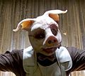 Gotham Professor Pyg