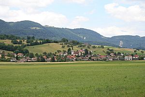 Herbetswil 7890