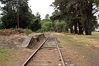 Hill Top Station Platform