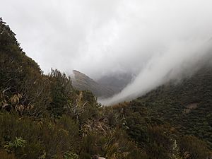 Hope Pass Canterbury New Zealand