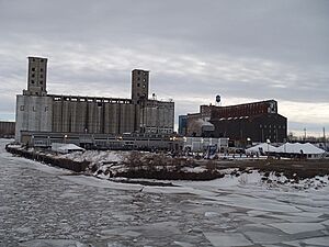 Labatt Pond Hockey Buffalo