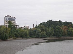 Lacul Băneasa (est); oct 2007.jpg