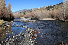 Lake Fork Gunnison River.JPG