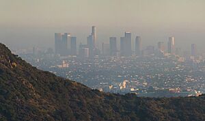 Los Angeles Pollution (cropped)