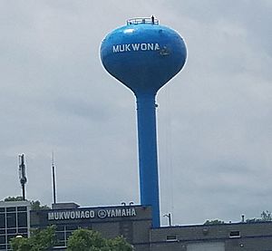 Mukwonago Water tower 6-2019