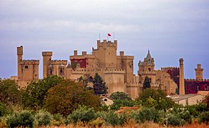 Palacio de Olite