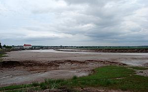 Petitcodiac River, Moncton