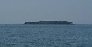 Rattlesnake Island in the distance