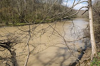 Salamonie River Kokiwanee.jpg