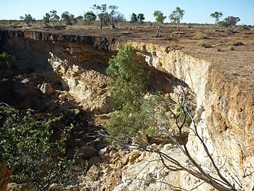 Scrammy Gorge Winton.jpg