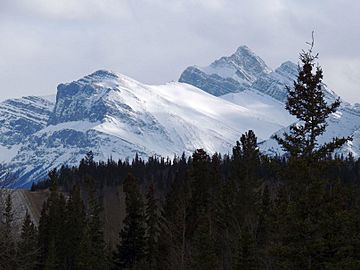 Siffleur Mountain.jpg