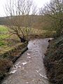 Smestow Brook 15 Swindon