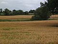 Smestow Brook 22 Near Trescott