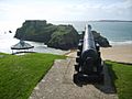 St. Catherine's Island - geograph.org.uk - 1455808