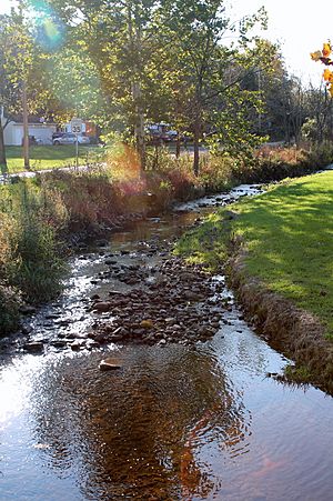 Stony Run looking upstream