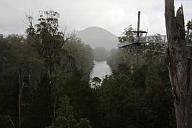 Tahune airwalk 1.JPG