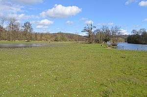 Temple Island Meadows 15.JPG