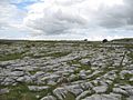 The Burren