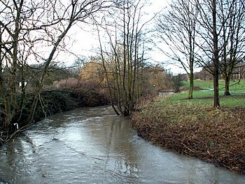 The River Dearne - geograph.org.uk - 654625.jpg