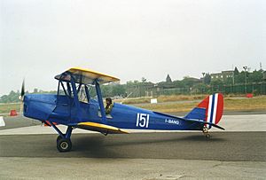 Tiger Moth Blue