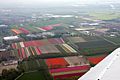 Tulip fields Lisse (13983881641)