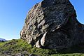 Turtle Rock blueschist block on Ring Mountain