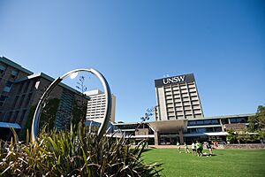 UNSW library lawn