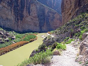 USA Santa Elena Canyon TX