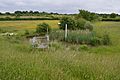 Weald Common Flood Meadows south 2