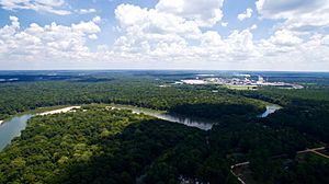 Altamaha and Rayonier