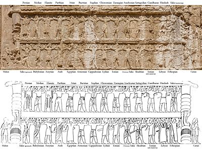 Armies of Darius I