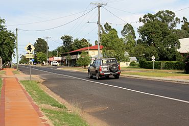 Arthur Street - Tambo.JPG