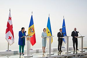 Batumi International Conference, on 19 July 2021 03 (cropped)