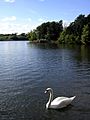 Beaulieu river mill dam