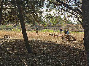 Benches in park