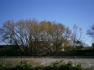 Berry Lane Park site