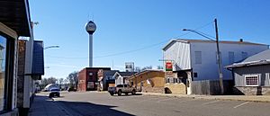 Businesses on Second Avenue in Bertha.