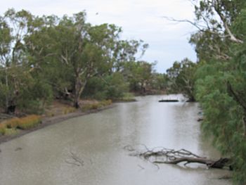 BillabongCreekMoulamein.JPG