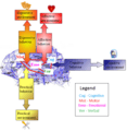 Brain connections