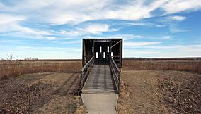 Buffalo Lake Texas Blind 2009.jpg