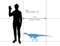 Buriolestes schultzi size comparison