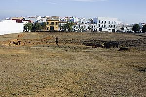 Carmona-Necrópolis Romana-Excavación del teatro-20110916