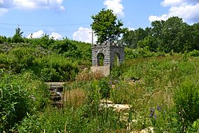 Coldwater Spring July 2014.jpg