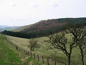 Housedon hill