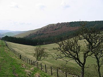 Housedon hill.jpg