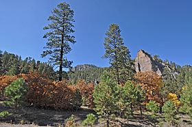 Kaibab employees visit Navajo Nation.jpg