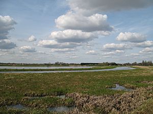 Lakenheathfen 3778.JPG