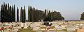 Legion Memorial Cemetery, Newellton, LA (2016) IMG 0086 (2)